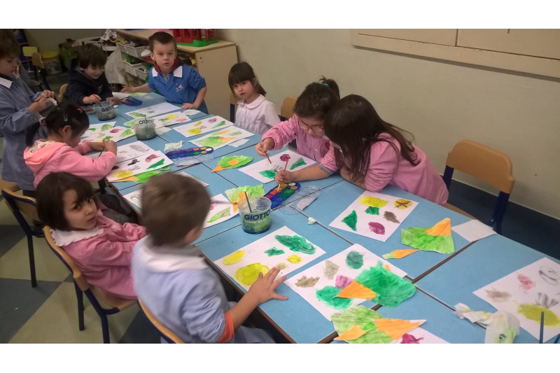 Servizi per le Scuole