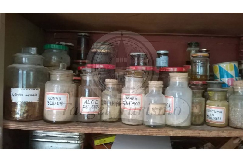 La bottega del liutaio