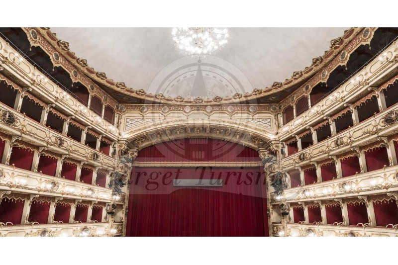 Il Teatro Ponchielli