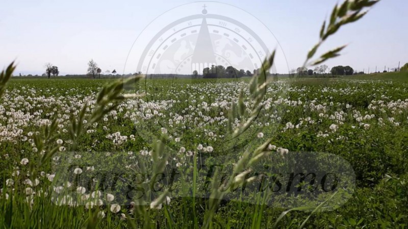 Socialvintage mistery bike tour