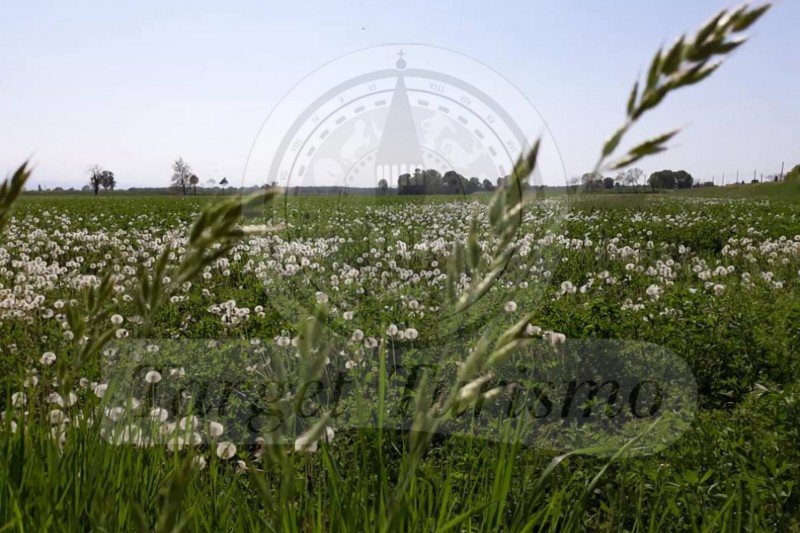 Socialvintage mistery bike tour