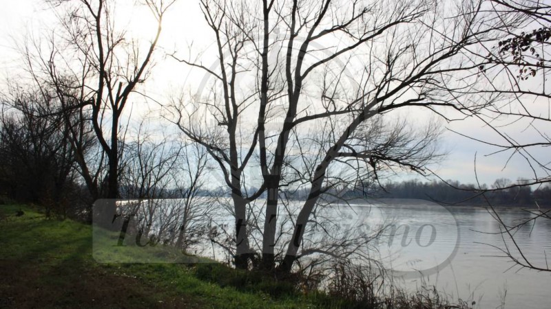 Avventura nella golena del Po for kids