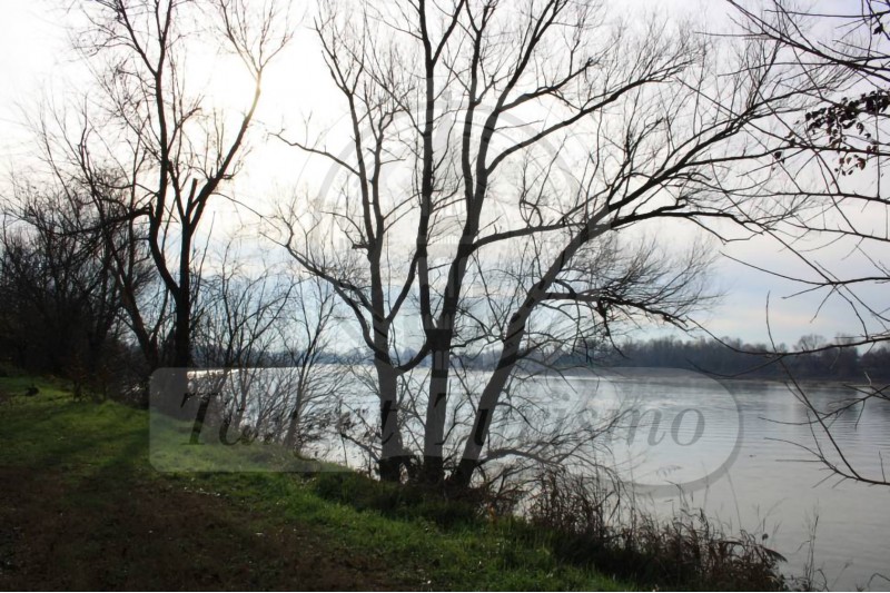 Avventura nella golena del Po for kids