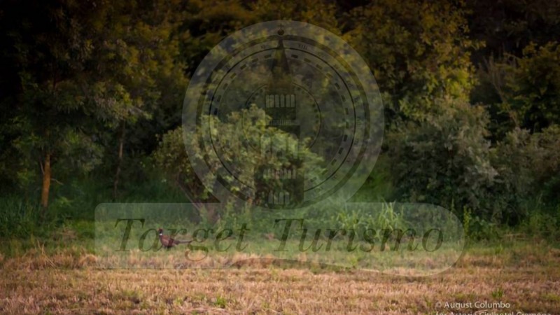 Avventura nella golena del Po for kids