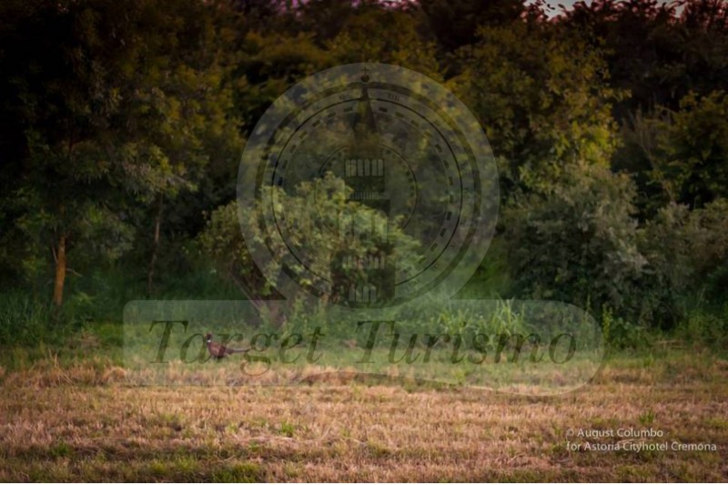 Avventura nella golena del Po for kids