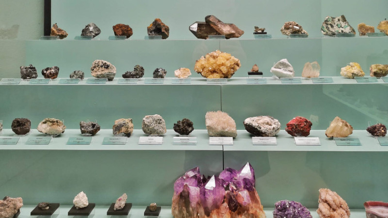 Museo di Storia Naturale