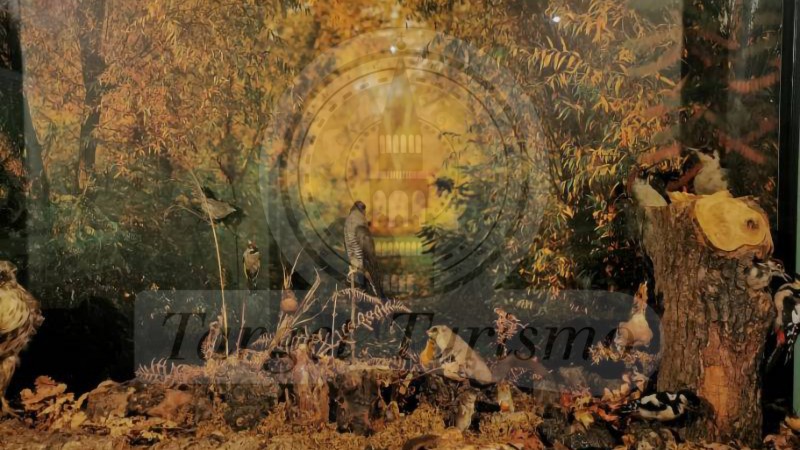 Museo di Storia Naturale