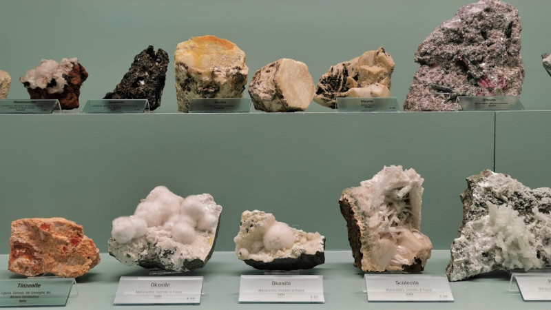 Museo di Storia Naturale