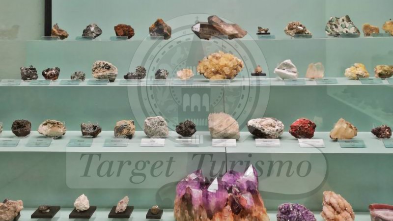 Museo di Storia Naturale