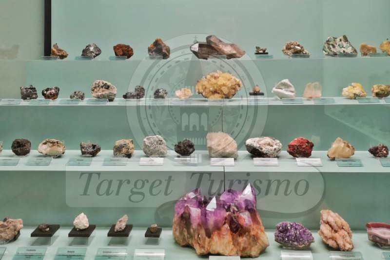 Museo di Storia Naturale