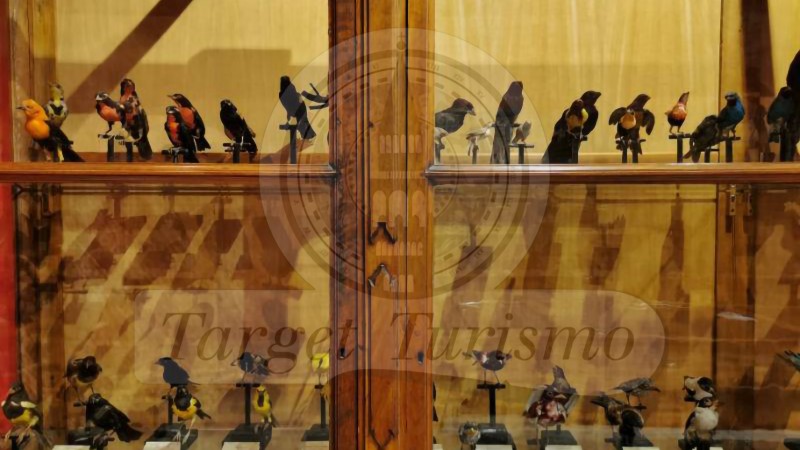 Museo di Storia Naturale