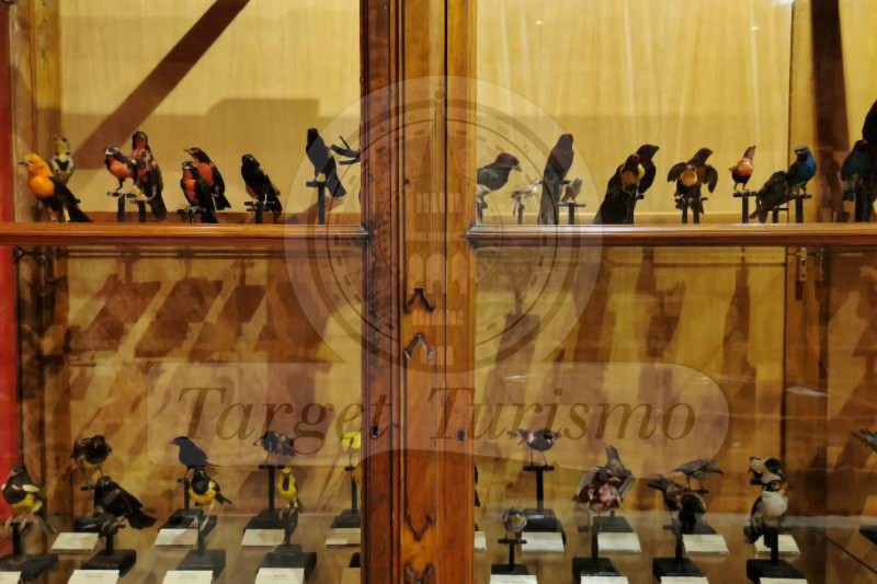 Museo di Storia Naturale