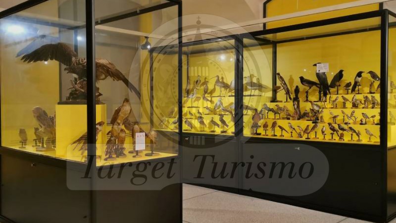 Museo di Storia Naturale