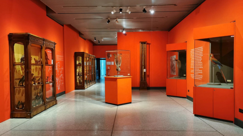 Museo di Storia Naturale