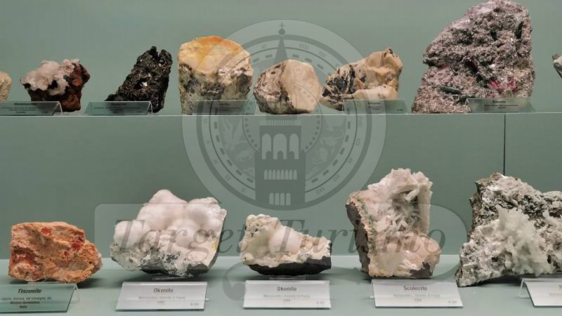 Museo di Storia Naturale