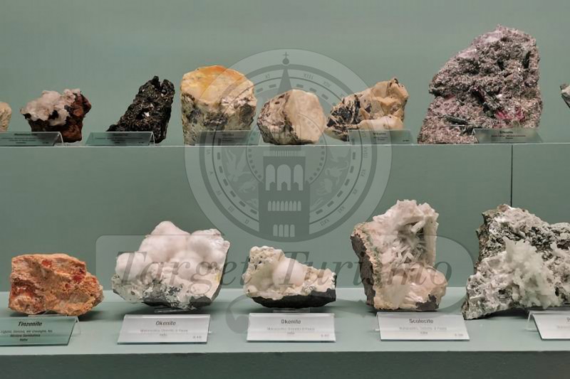 Museo di Storia Naturale