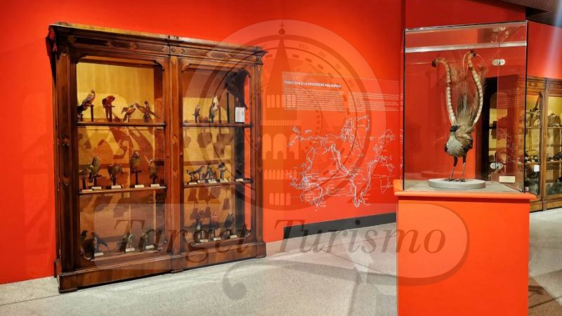 Museo di Storia Naturale