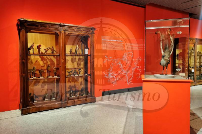 Museo di Storia Naturale