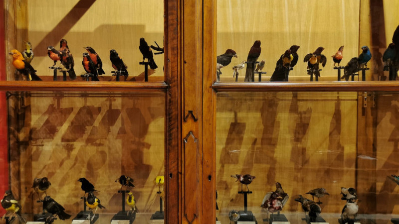 Museo di Storia Naturale