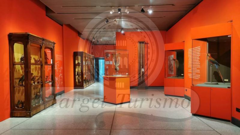 Museo di Storia Naturale