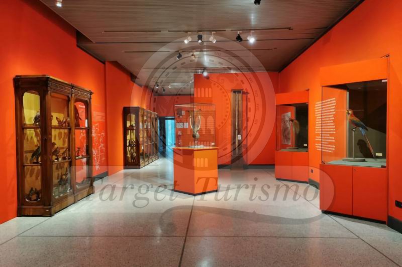 Museo di Storia Naturale