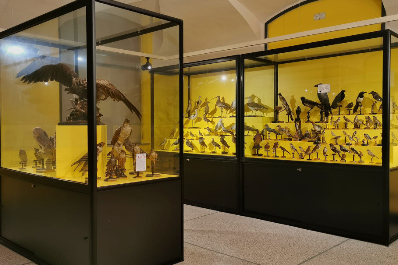Museo di Storia Naturale