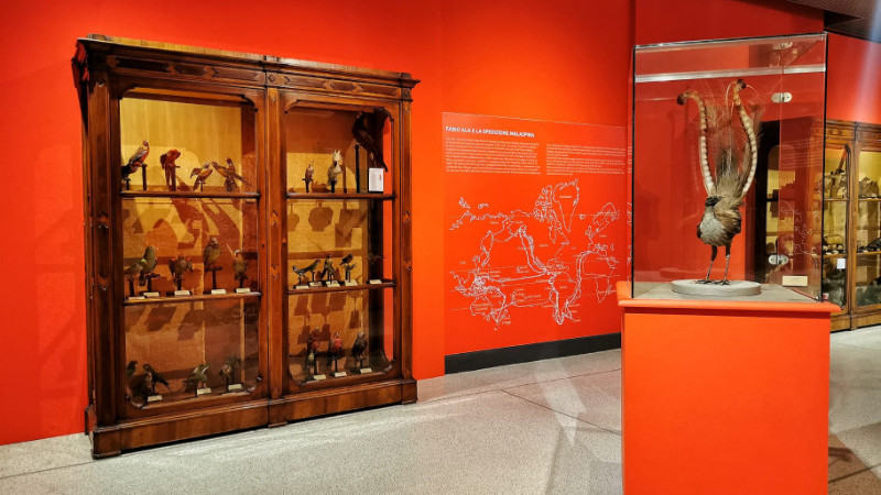 Museo di Storia Naturale