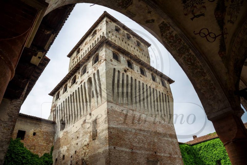 I castelli del ducato della bassa parmense