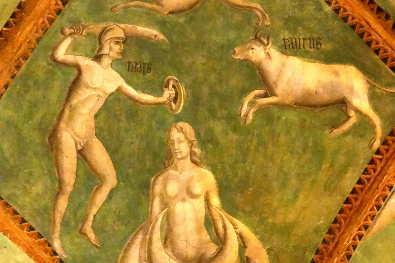 I castelli del ducato della bassa parmense