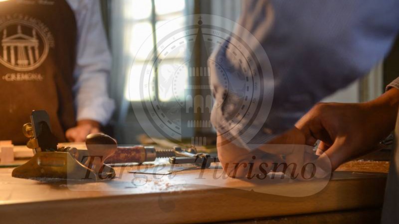 Palazzo Mina Bolzesi Academia Cremonensis