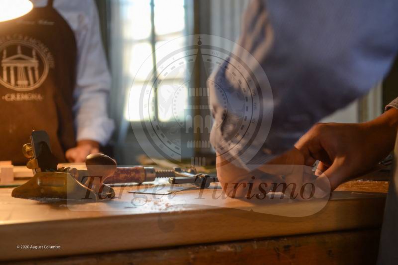 Palazzo Mina Bolzesi Academia Cremonensis