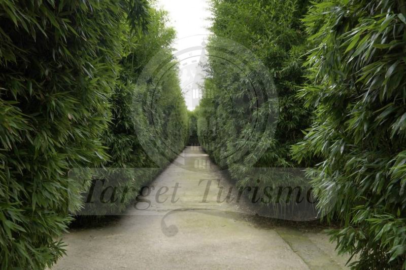 IL LABIRINTO DELLA MASONE