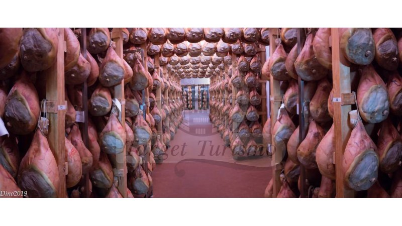 MUSEO DEL PROSCIUTTO