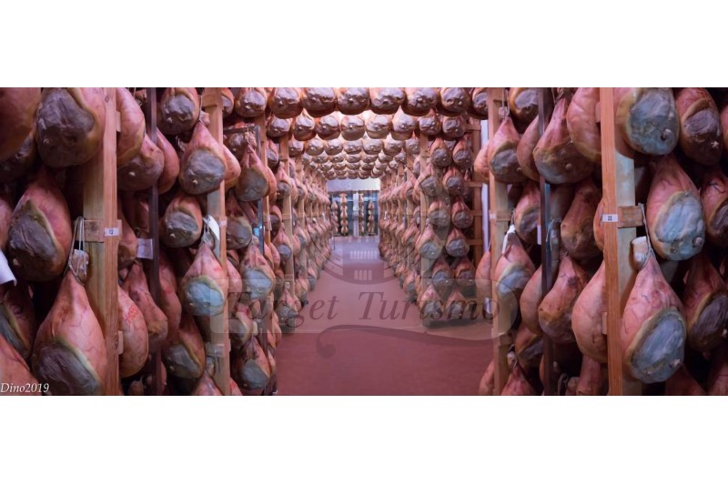 MUSEO DEL PROSCIUTTO