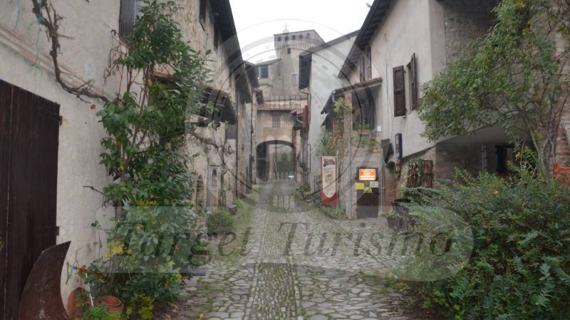 IL CASTELLO DI TORRECHIARA